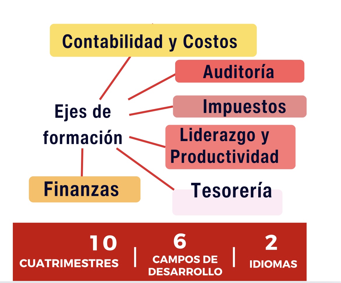 Ejes de formación Contaduría Pública