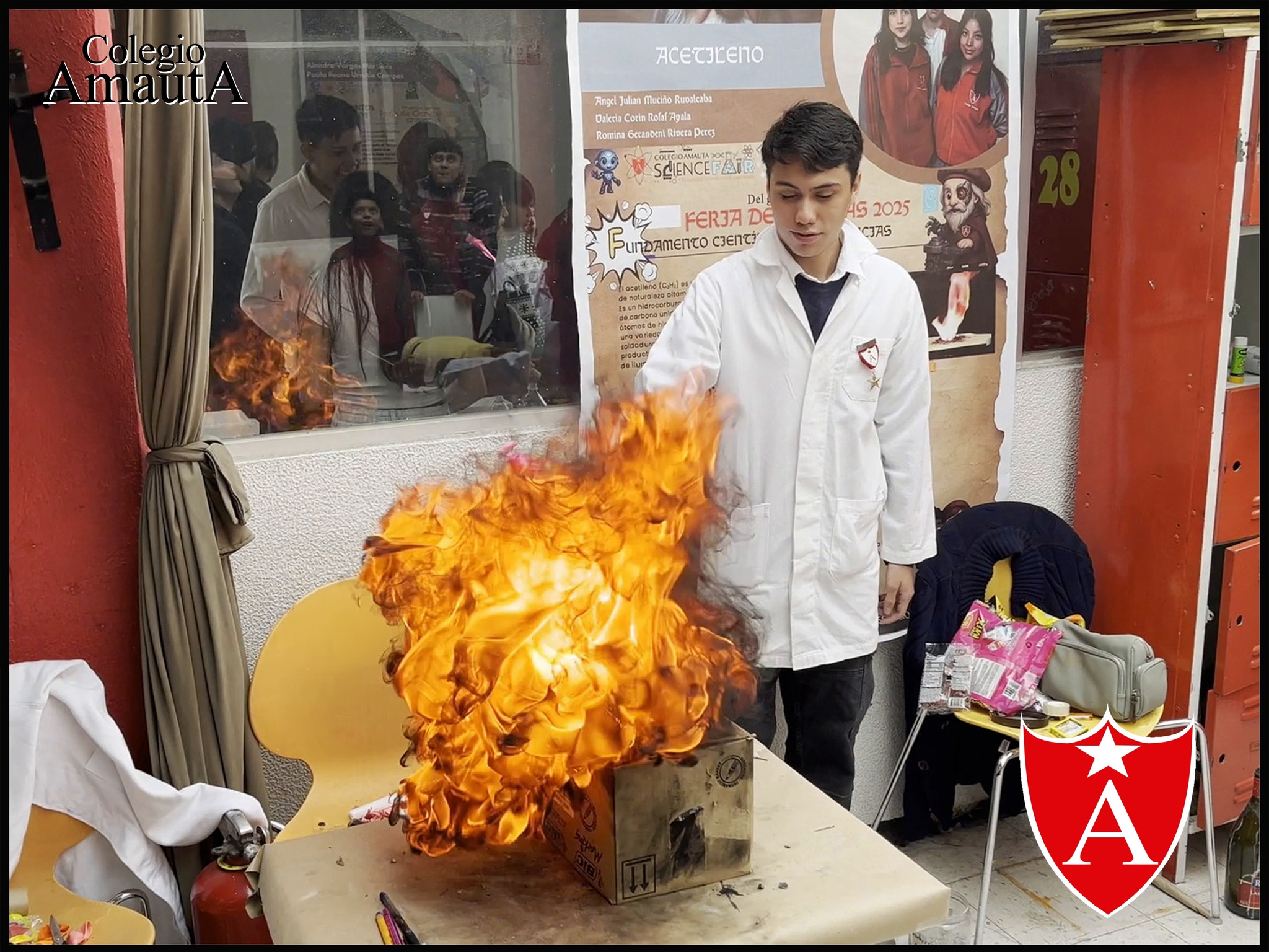 Imagen 12